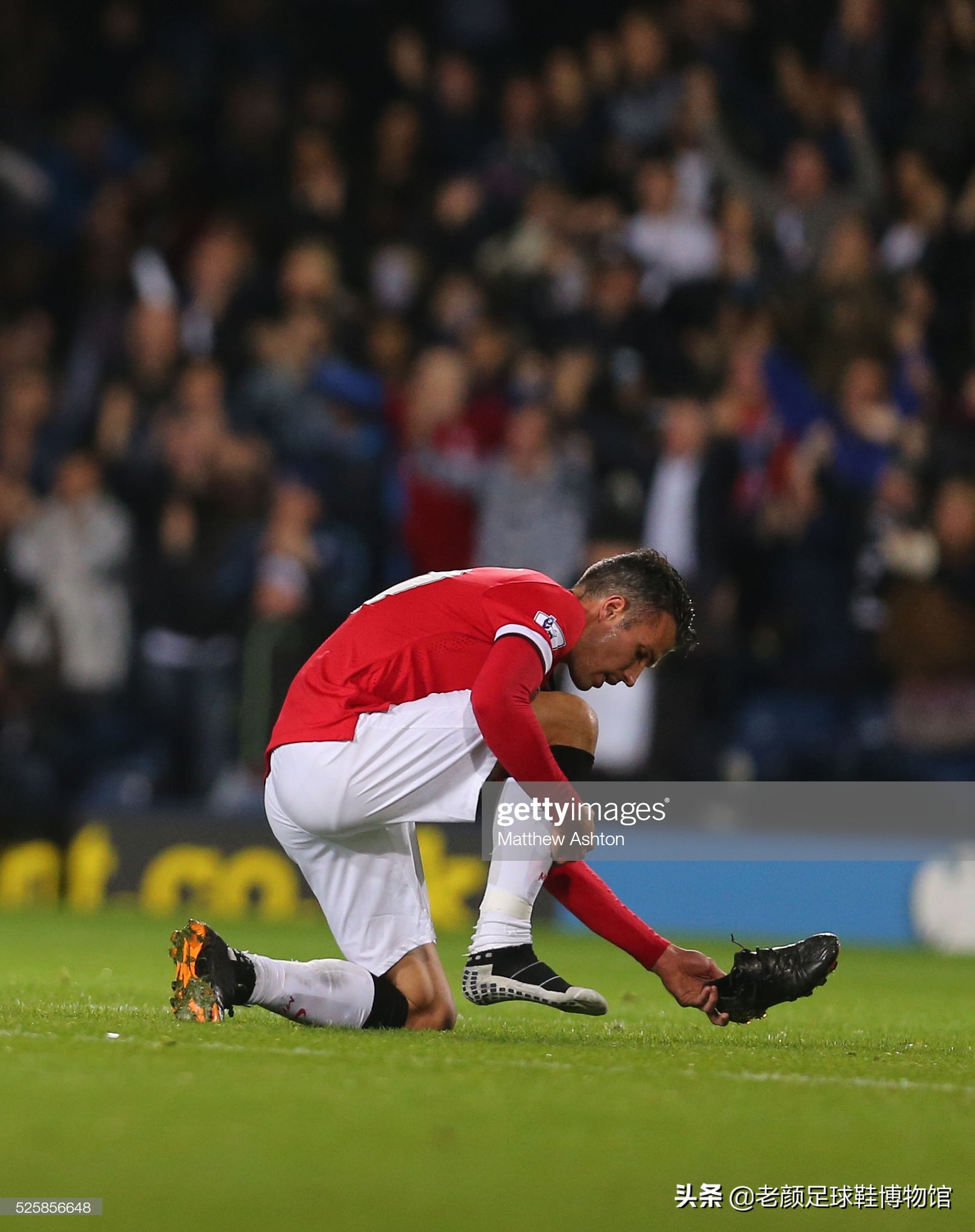 池版图上描 池版图上描